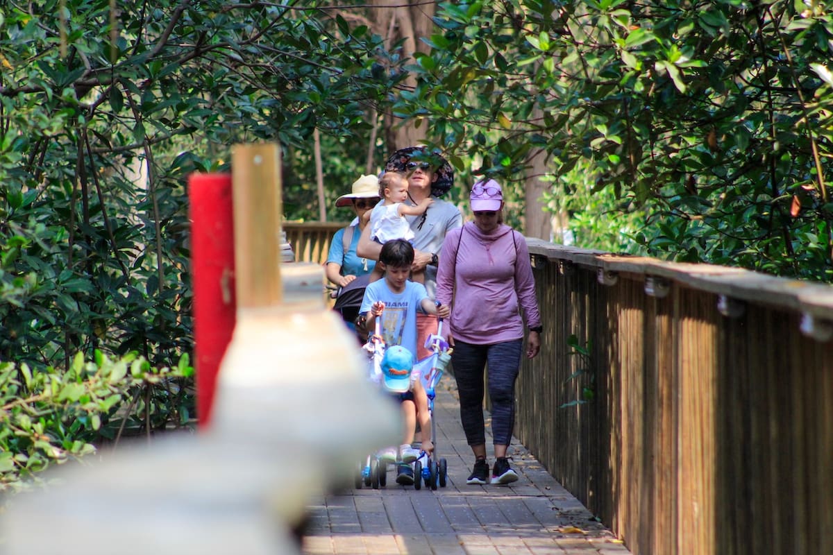 La Alcaldia de Barranquilla presentó la oferta turista para propios y visitantes durante el Carnaval 2025 para que visiten el Ecoparque Mallorquín.//Cortesía.