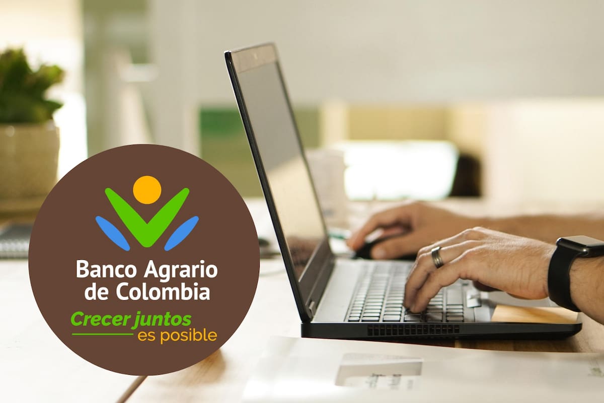 Banco Agrario ofrece casas y lotes en remate: cómo participar