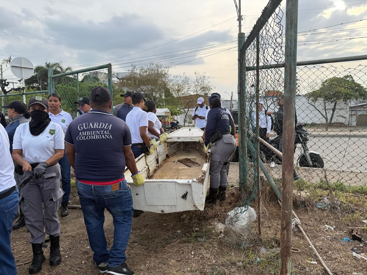 Operativo de limpieza en la ciénaga de Las Quintas. // Foto: cortesía - Distrito de Cartagena
