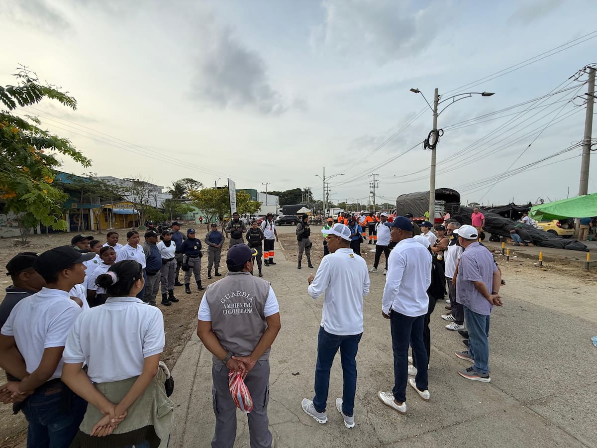 Operativo de limpieza en la ciénaga de Las Quintas. // Foto: cortesía - Distrito de Cartagena
