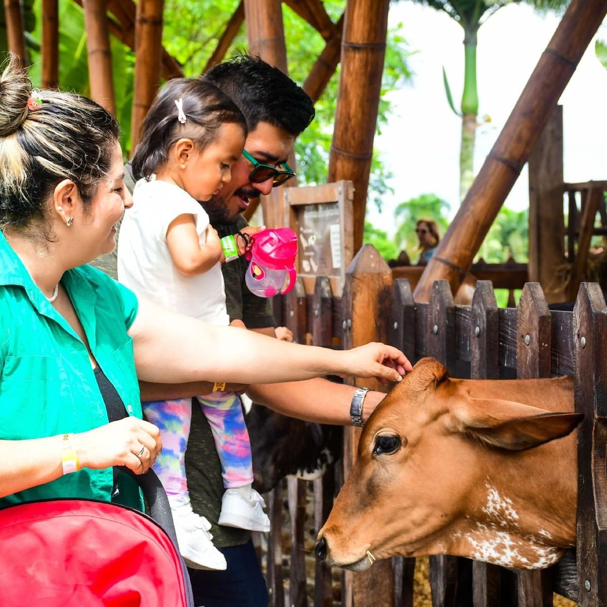 El evento, Panaca Viajero, se realizará en el Centro de Exposiciones Agropecuarias del Norte de Bolívar, en Arjona. // Foto: cortesía - Gobernación de Bolívar