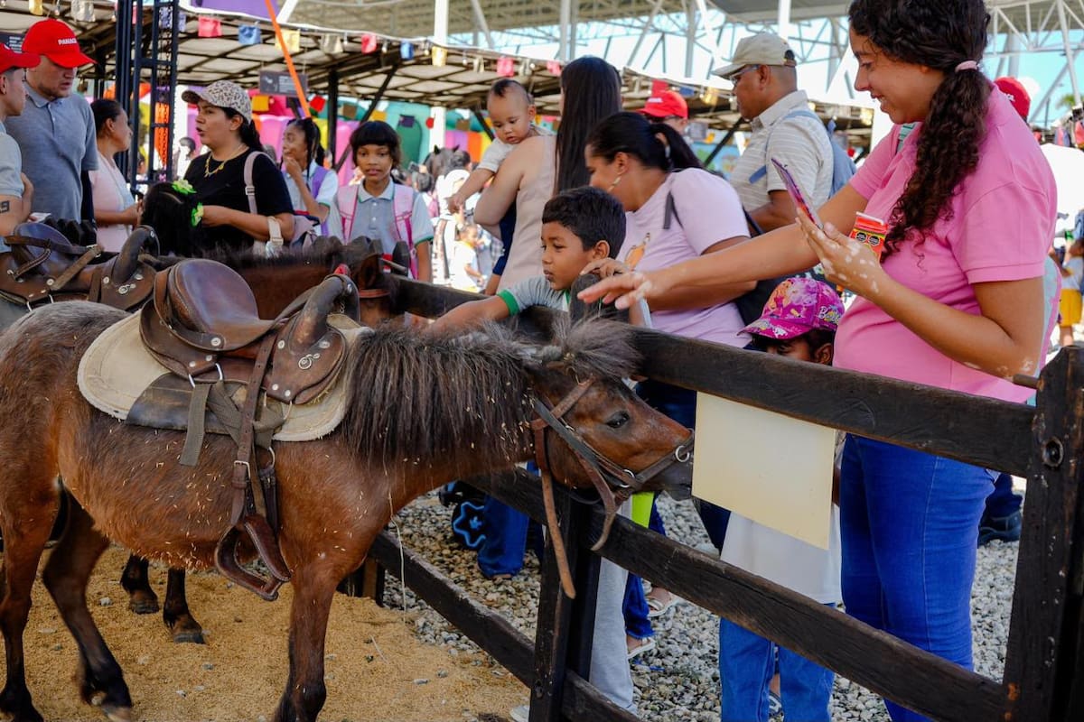 Panaca Viajero llega a Magangué con entrada gratuita: fechas y programación