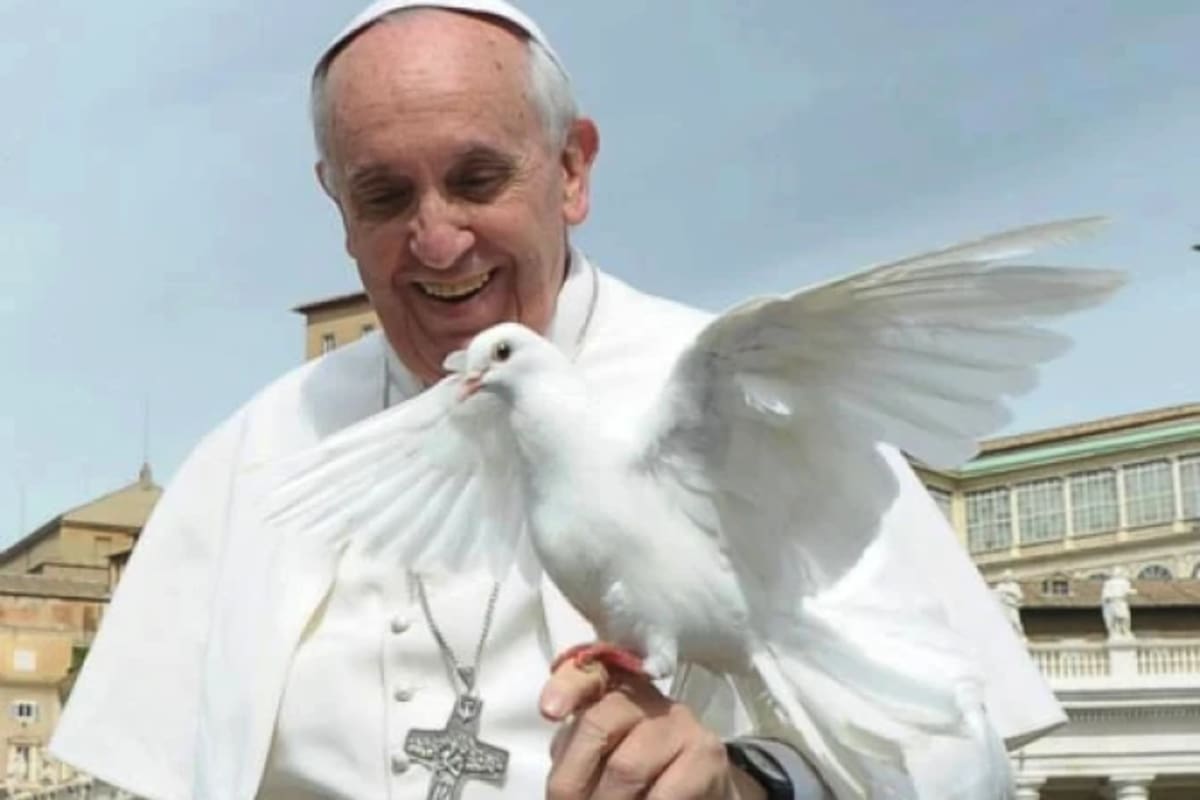 Palomas blancas sobrevolaron la plaza de San Pedro la noche antes del funeral del papa Francisco, generando interpretaciones espirituales entre los asistentes. / Redes sociales