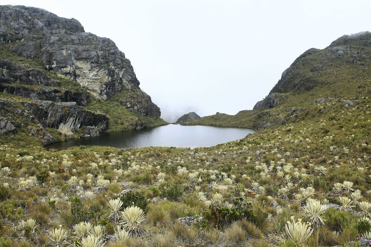 MinAmbiente defiende el retiro de protección a más de 1.000 hectáreas del páramo de Santurbán