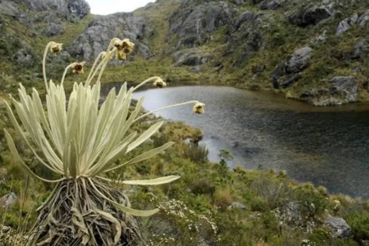 Colombia gana juicio de más de mil millones de dólares relacionado con Santurbán