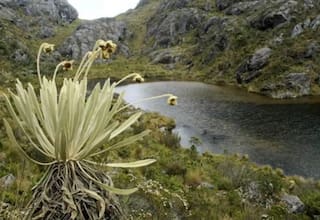 Colombia gana juicio de más de mil millones de dólares relacionado con Santurbán