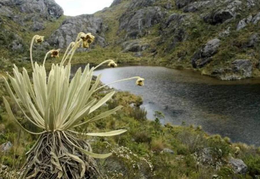 Colombia gana juicio de más de mil millones de dólares relacionado con Santurbán