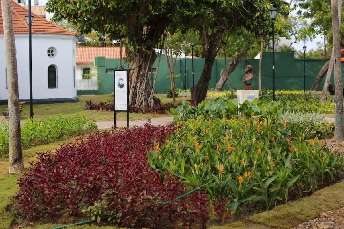 Una de las intervenciones del Parque Apolo ha sido su componente ambiental, con la siembra de 28 árboles, la ejecución de más de 4.180 metros cuadrados de nuevo paisajismo, se sembraron cerca de 41.000 especies ornamentales y se instalaron 2.400 metros cuadrados de grama nueva. // Foto: Luis Herrán.