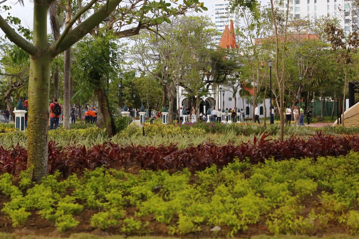 Una de las intervenciones del Parque Apolo ha sido su componente ambiental, con la siembra de 28 árboles, la ejecución de más de 4.180 metros cuadrados de nuevo paisajismo, se sembraron cerca de 41.000 especies ornamentales y se instalaron 2.400 metros cuadrados de grama nueva. // Foto: Luis Herrán.