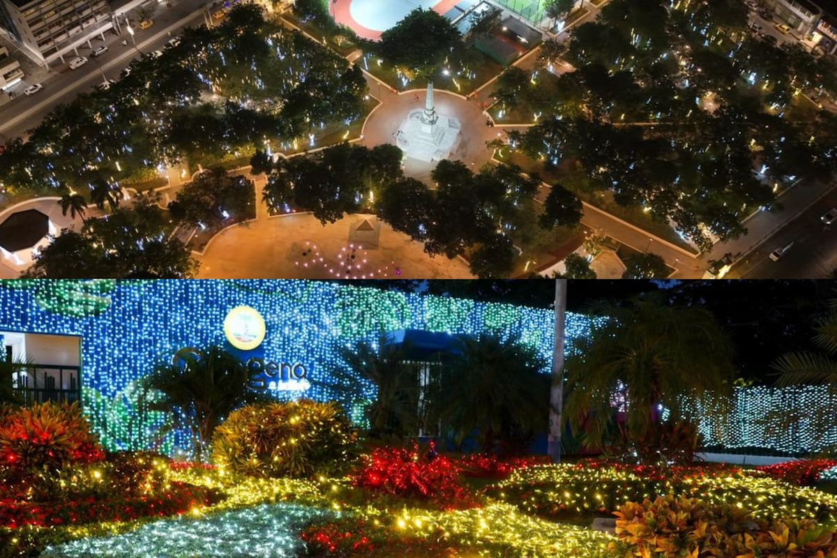 Parque Centenario y Manglar: Horarios y actividades gratis en Cartagena