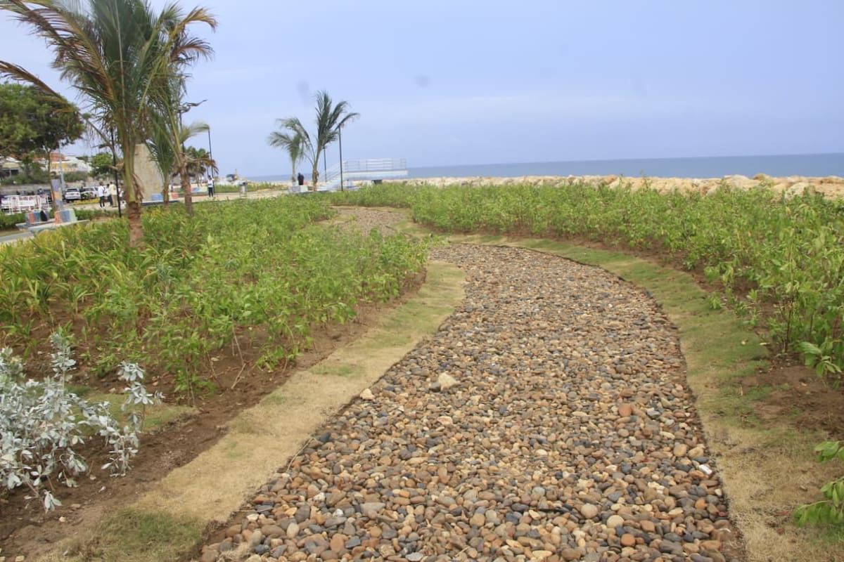 Parque de Los Alcatraces. // Foto: Julio Castaño - El Universal