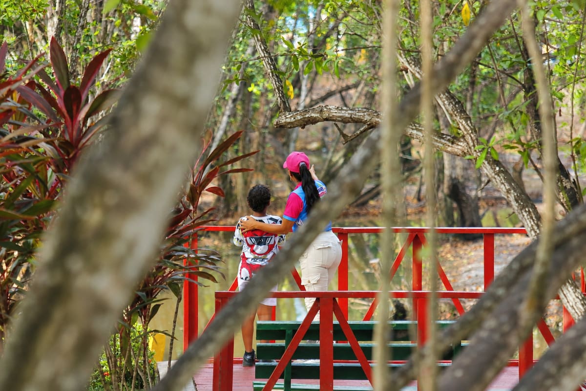Desde su reapertura, el Parque Espíritu del Manglar a recibido a miles de familias cartageneras. // Foto: Luis Herrán - El Universal.