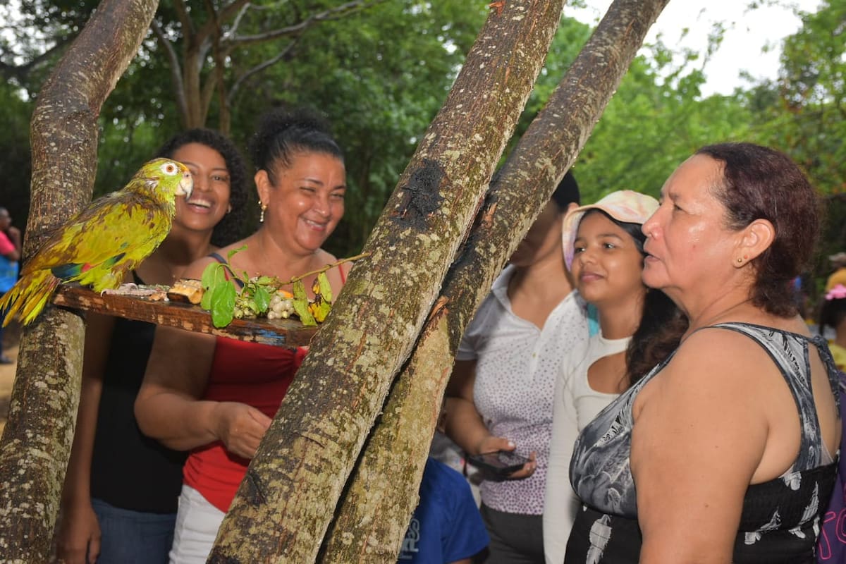 Parque Espíritu del Manglar. // foto: cortesía