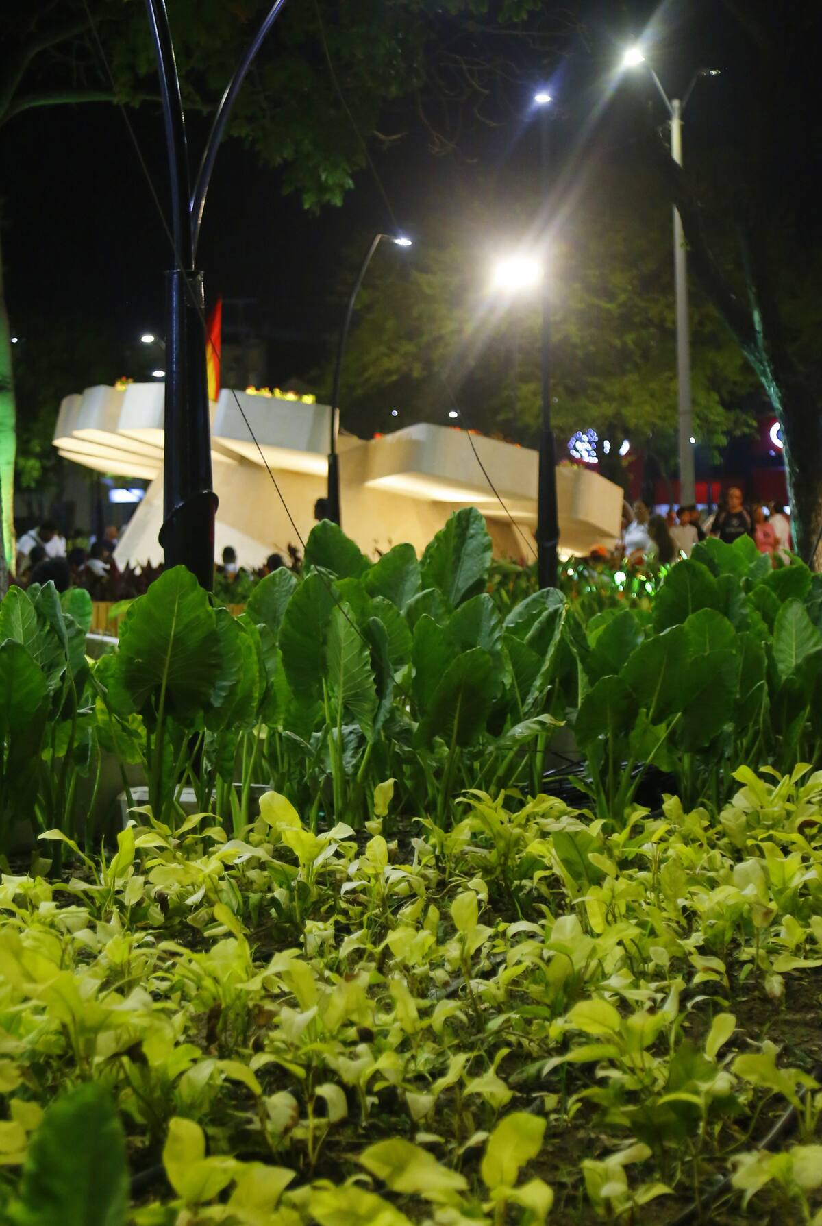 El Parque del Reloj Floral vuelve a brillar como atractivo histórico de Cartagena. // Luís Herrán - El Universal