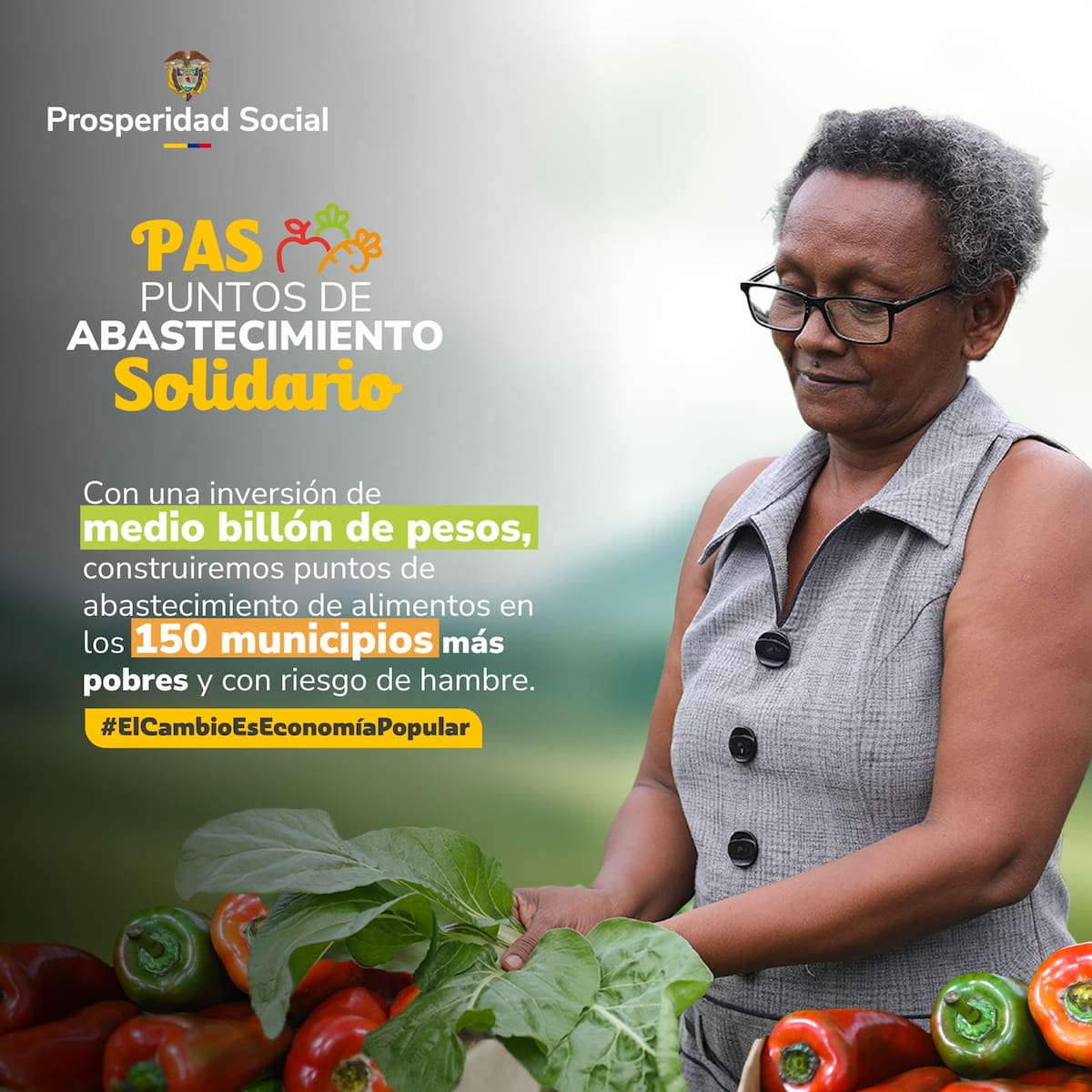 Ilustración Puntos de Abastecimiento Solidario. // Foto: cortesía