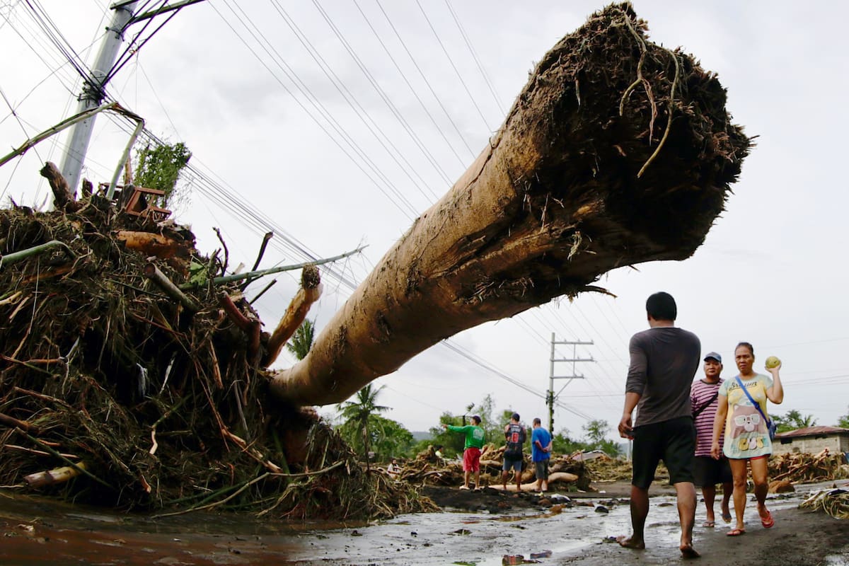 Los lugareños caminan junto a un árbol caído en la localidad de Laurel, en la provincia de Batangas en Filipinas. //EFE