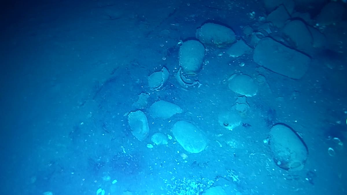 Botijas identificadas en el área arqueológica del Galeón San José. // Cortesía