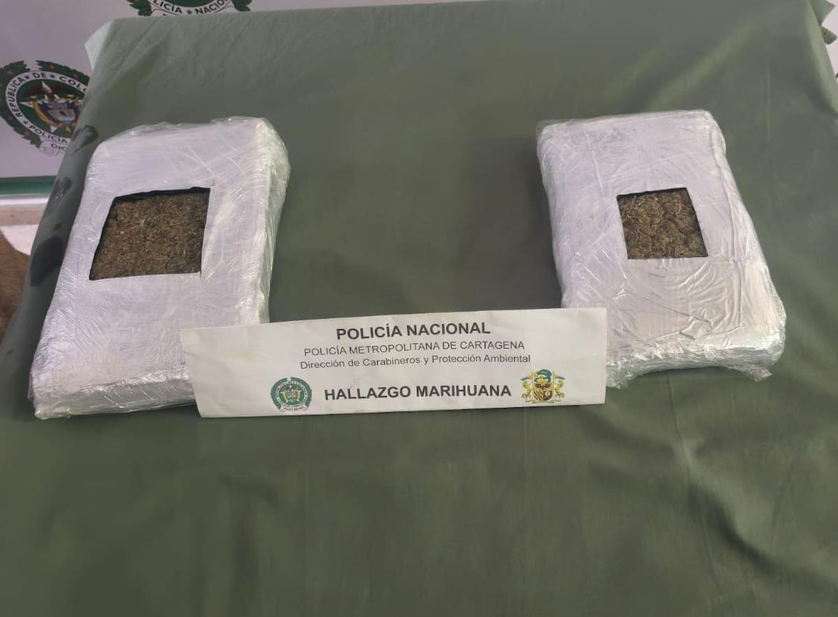 Perro antidrogas detectó encomienda cargada de marihuana en El Bosque. // Foto: Mecar