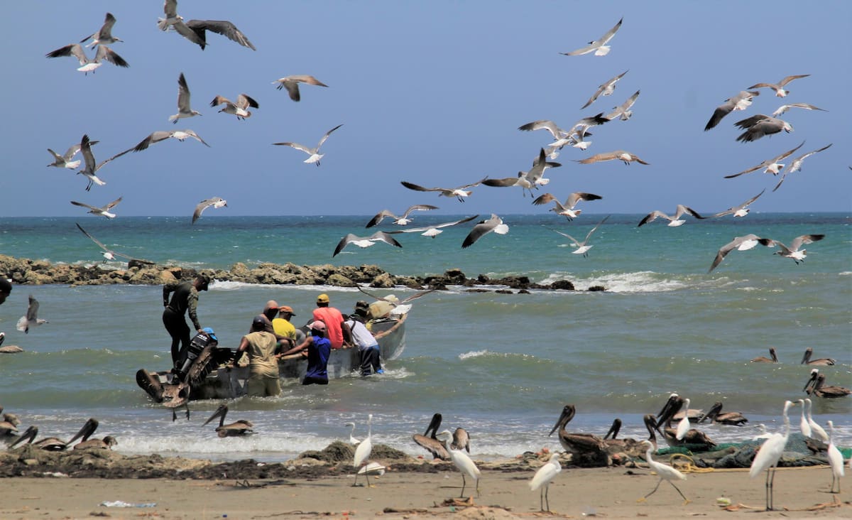 La actividad de pesca y maricultura en Cartagena. // Foto: Julio Castaño.