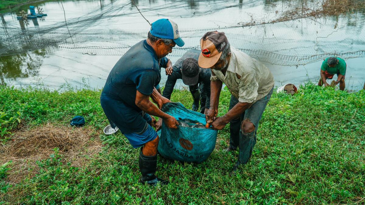 La campaña impulsará el acceso directo entre productores y consumidores. // Foto: cortesía