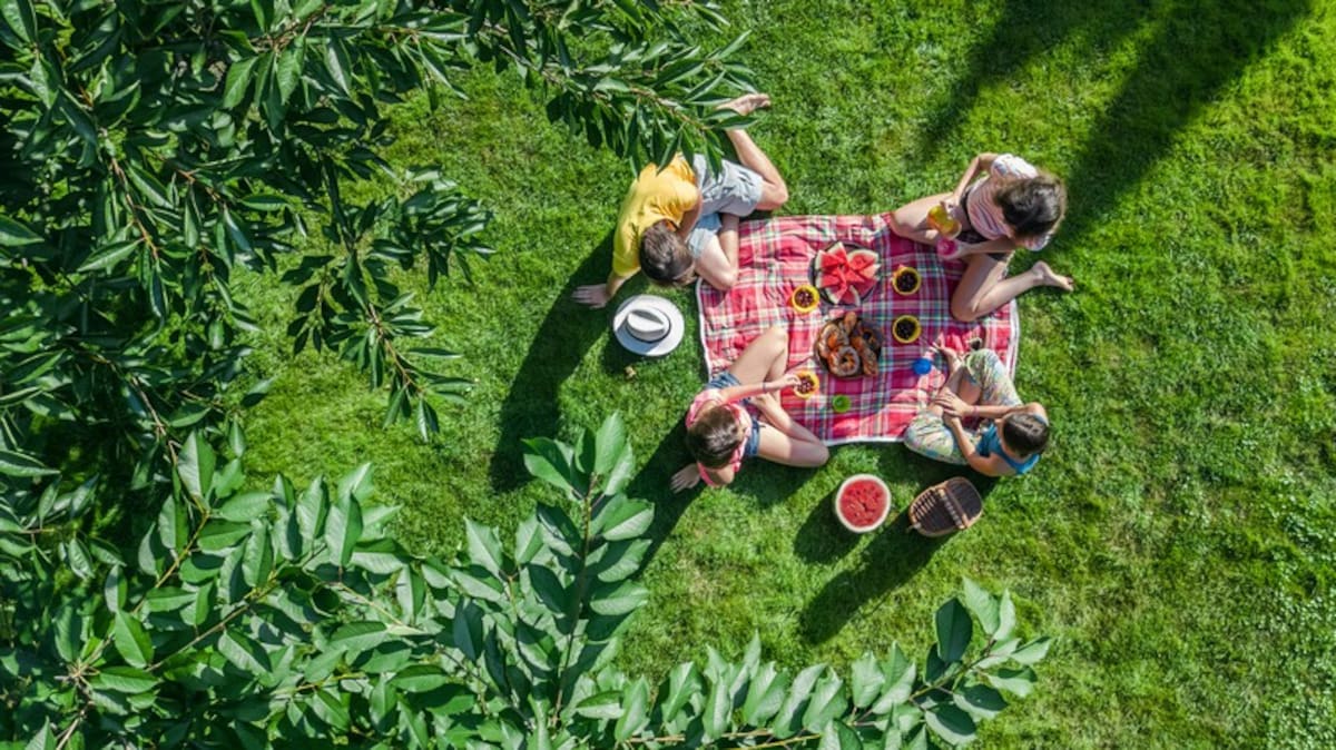 Picnic en familia. // Foto: tomada de internet
