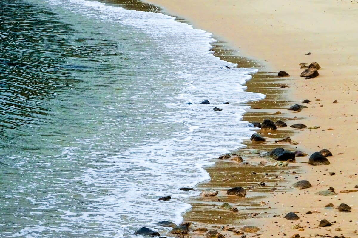 ¿creerías si te dijéramos que existen playas en el mundo donde la belleza esconde peligros letales? // 123rf.