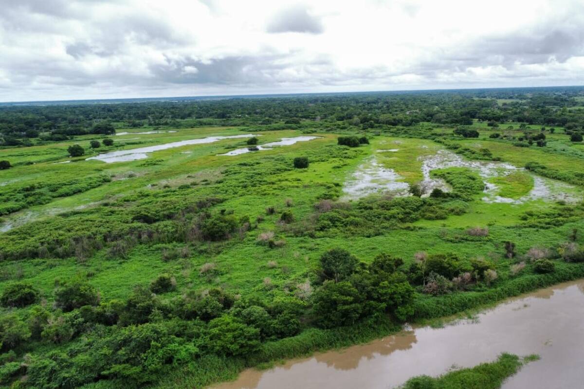 Tras 8 años de espera, 12 familias de Bolívar ya pueden cultivar en playón comunal