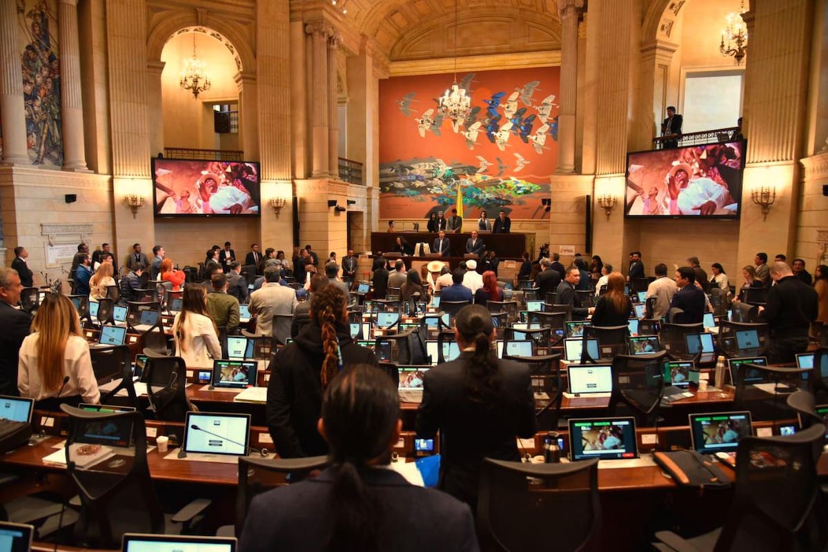 Sociedades científicas piden incluir proyecto en debate sobre la salud