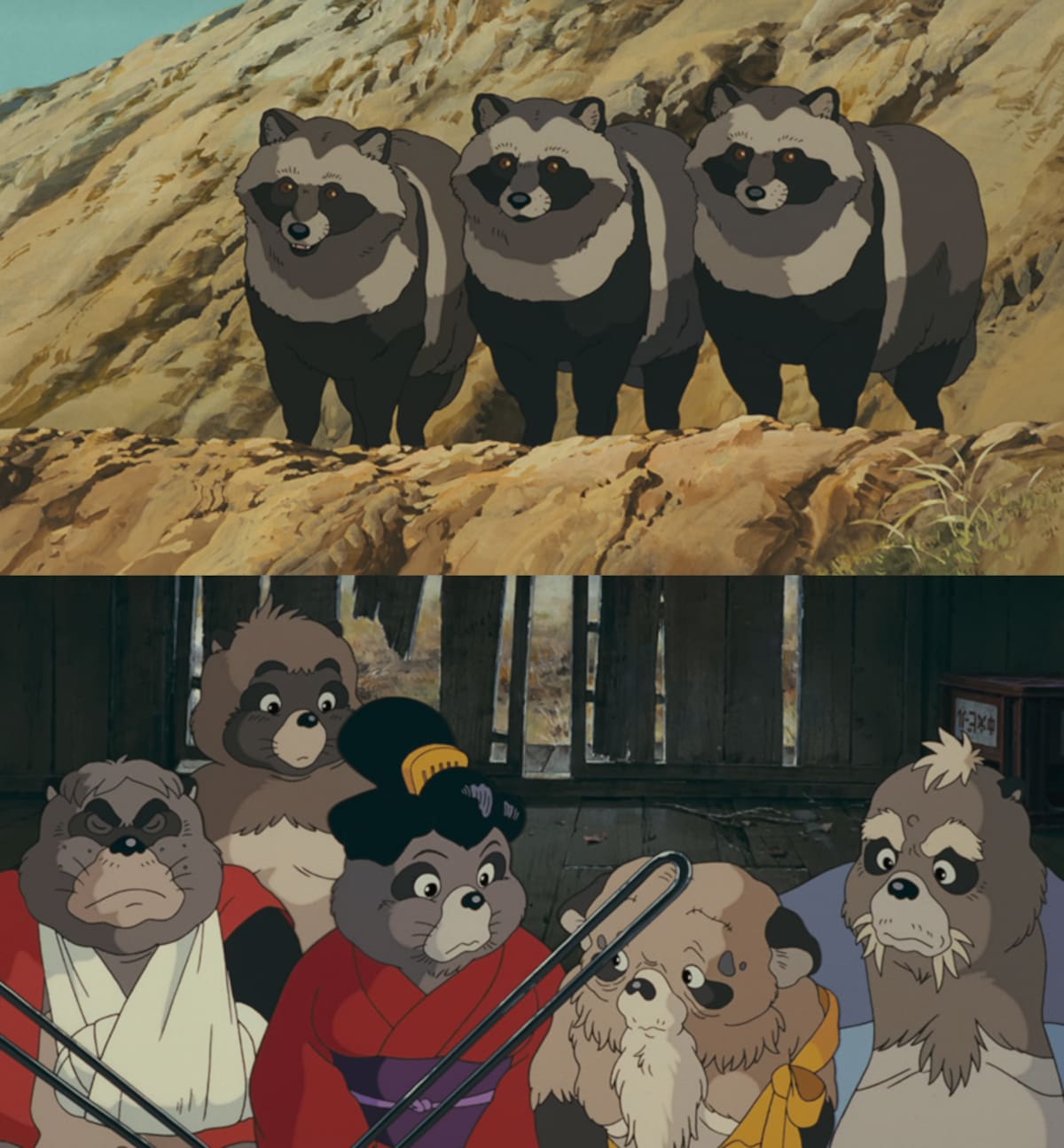 Los tanuki de Pom Poko como animales y como seres fantásticos. //Foto captura de pantalla Netflix.