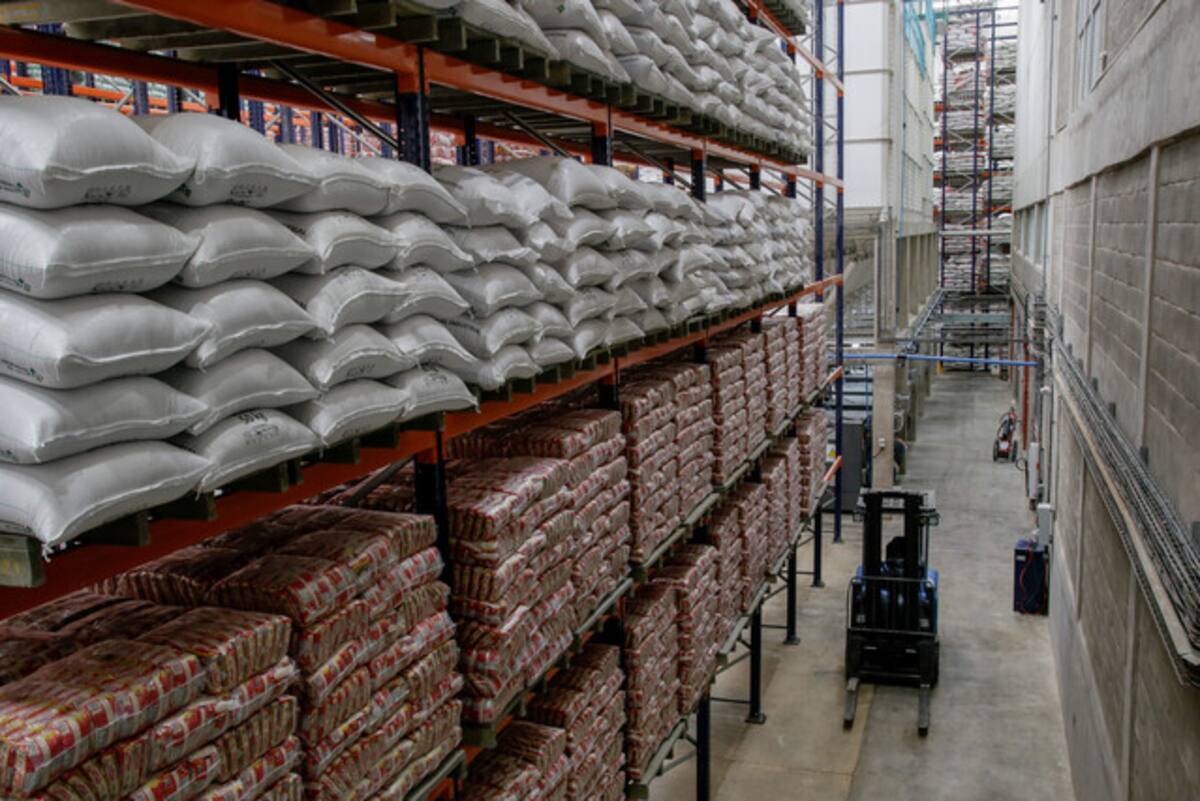 Fedearroz cuestiona la baja del precio del arroz pagado al productor por la industria arrocera. // Colprensa
