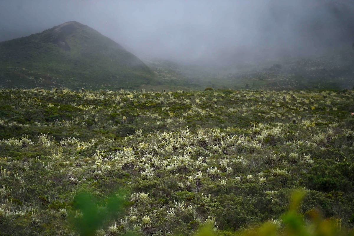 Las nuevas reglas con las que el Gobierno busca proteger el páramo Cruz Verde-Sumapaz