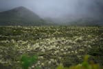 Las nuevas reglas con las que el Gobierno busca proteger el páramo Cruz Verde-Sumapaz