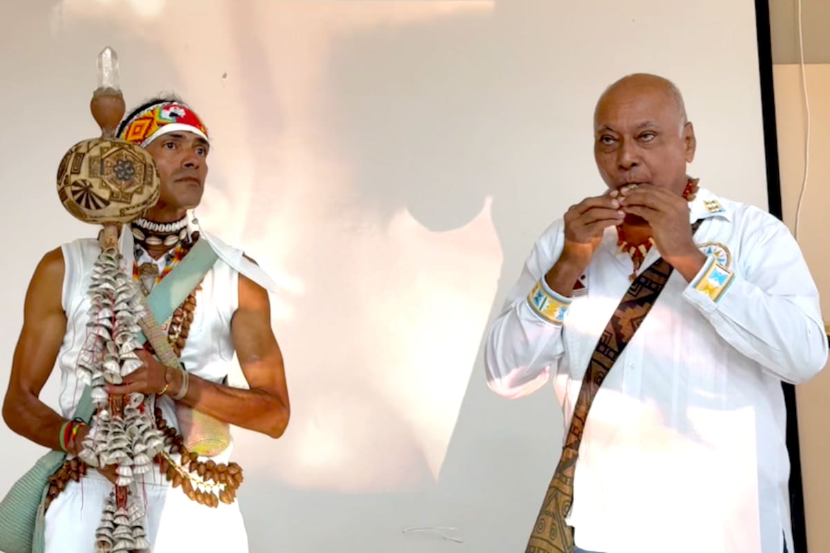 ¿De qué trata el Festival de Música Medicina del Caribe?, le contamos