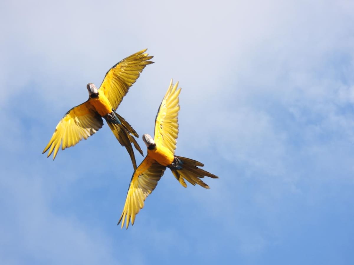 Primera edición del Desafío La Libertad, realizada por Fundación Loros y el equipo de entrenamiento #TEAMLEN. // Foto: cortesía - Fundación Loros