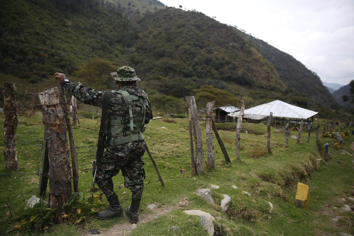 Violencia armada en el Catatumbo deja 250 campesinos desplazados