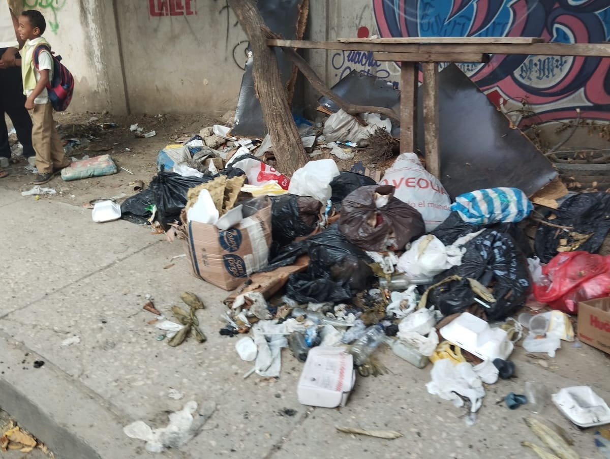 Protestan en el colegio Bertha Gedeón por un entorno limpio. // Foto: Oscar Díaz.