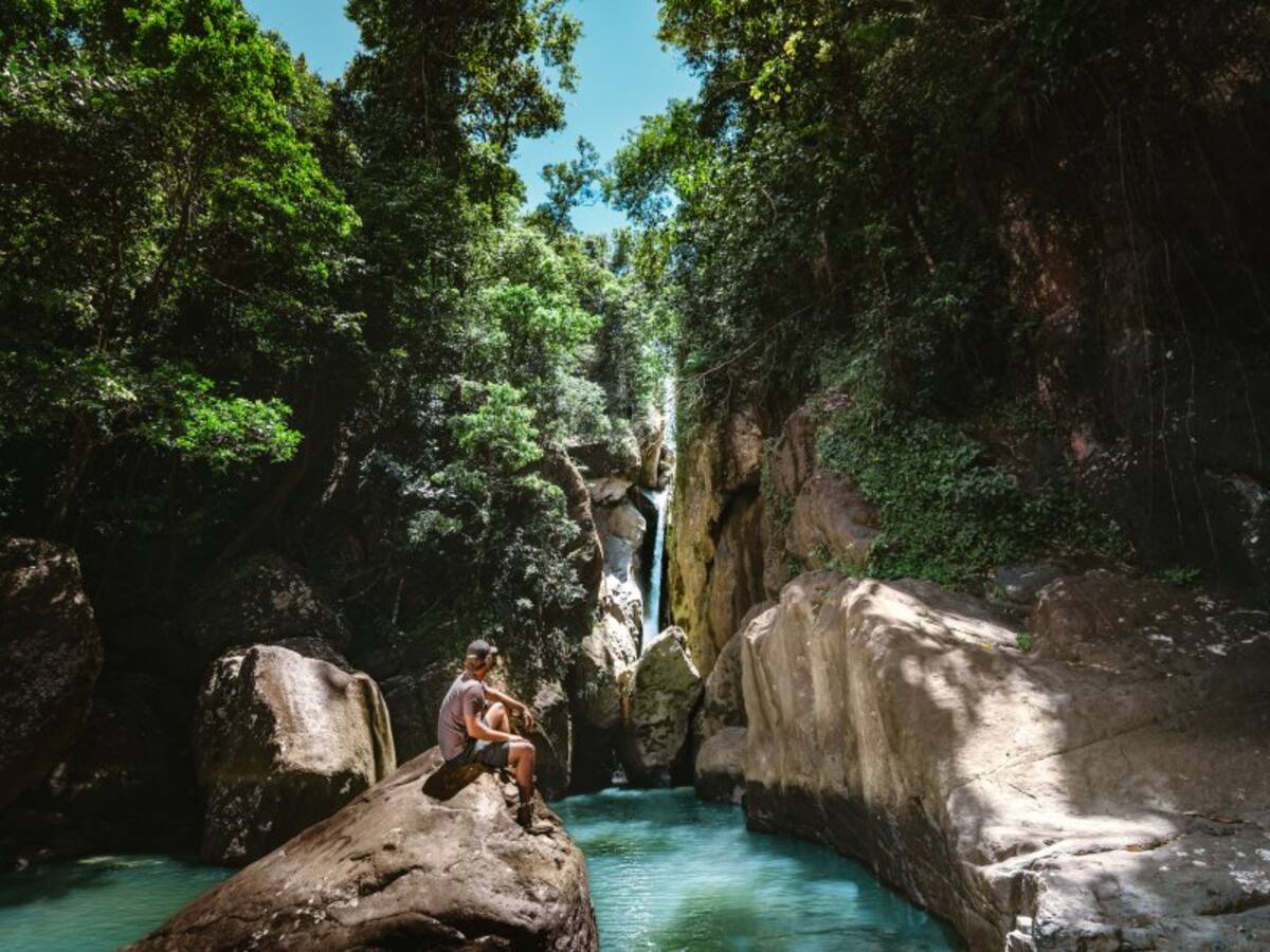 El Bosque Nacional El Yunque es una joya natural única en Puerto Rico. Con más de 28,000 acres de flora y fauna. //Foto: Cortesía- Discover Puerto Rico.