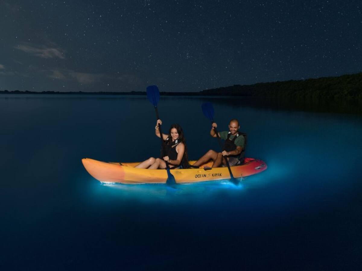 Este fenómeno natural, donde el agua brilla debido a la presencia de microorganismos marinos llamados dinoflagelados, atrae a miles de turistas cada año. //Foto: Cortesía - Discover Puerto Rico.