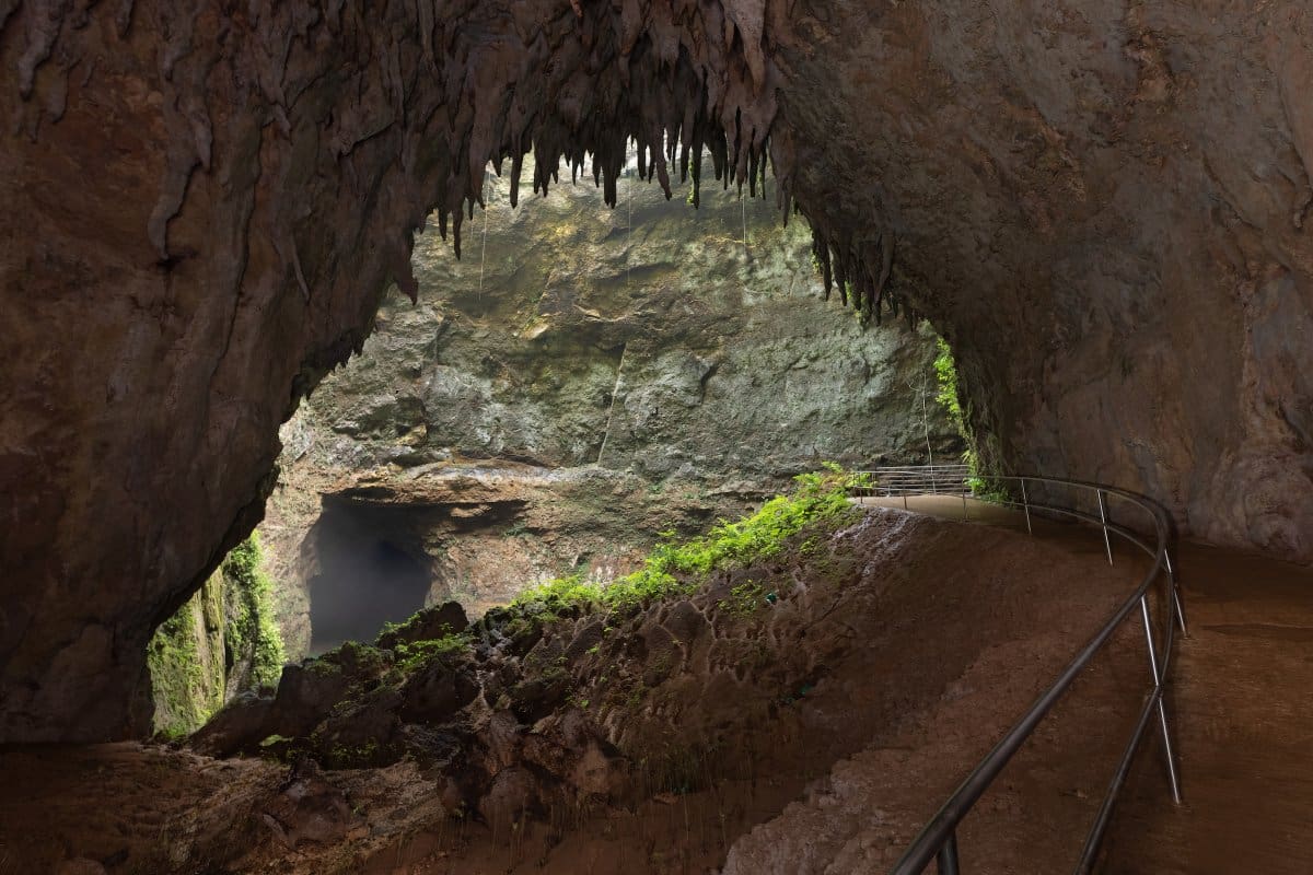 Este sistema de cavernas, uno de los más grandes del mundo, ofrece una experiencia subterránea que combina belleza geológica con conciencia ambiental. //Foto: Cortesía - Discover Puerto Rico.