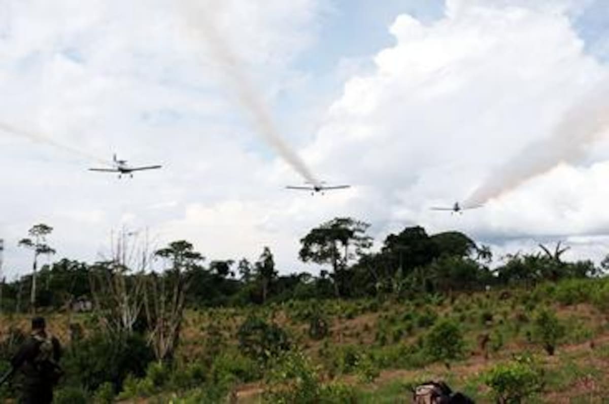 Putumayo se prepara para el regreso de las fumigaciones aéreas. // Foto: Colprensa.
