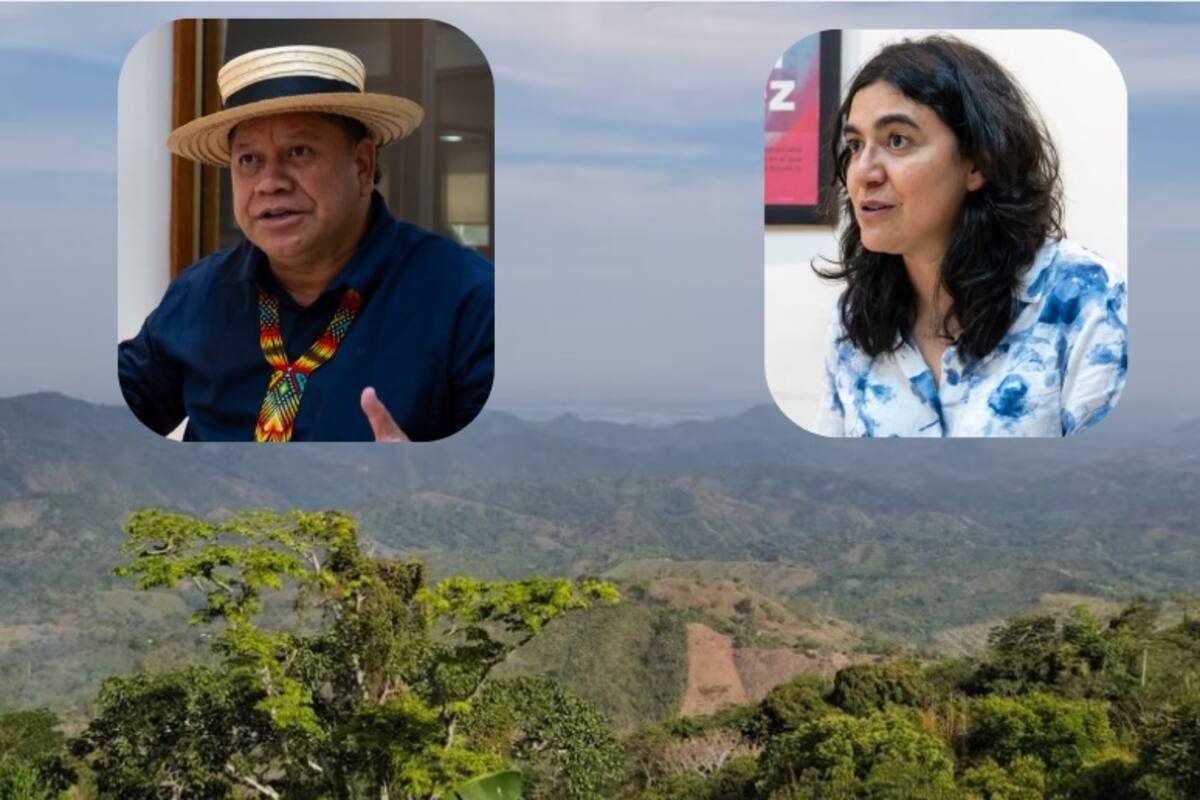 96 mil hectáreas inscritas en Bolívar para restitución de tierras: Gobierno