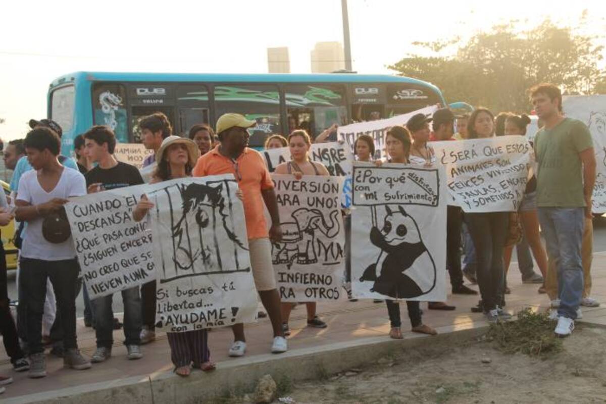 Protestan en contra de espectáculos con animales en Cartagena