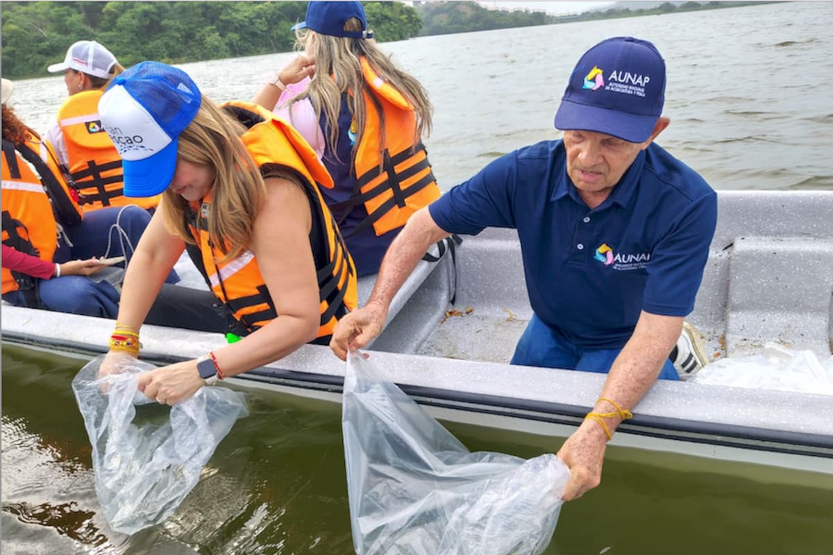 500 mil alevinos de bocachico fueron sembrados en la Laguna de Luruaco