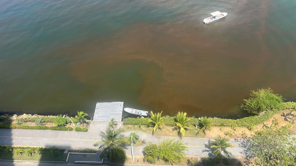 Reportan extraña mancha en aguas de Castillogrande: autoridades inspecciona la zona. // El Universal