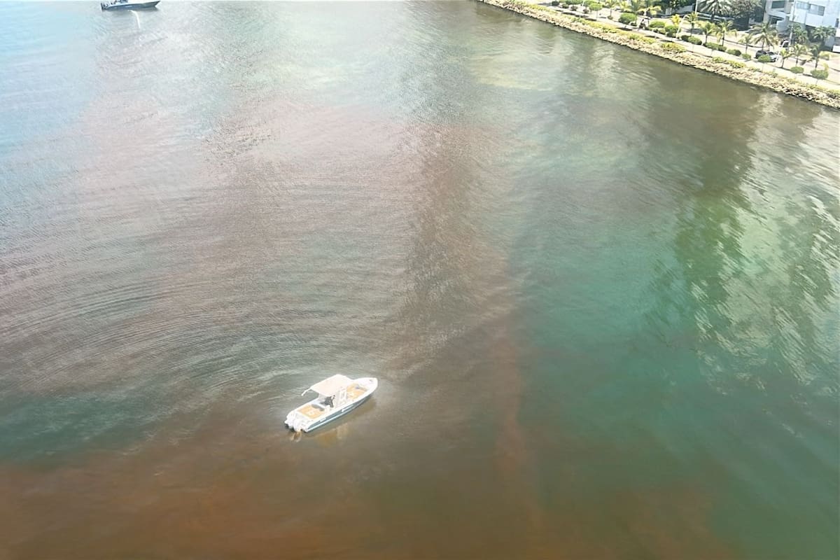 Reportan extraña mancha en aguas de Castillogrande: autoridades inspeccionan la zona