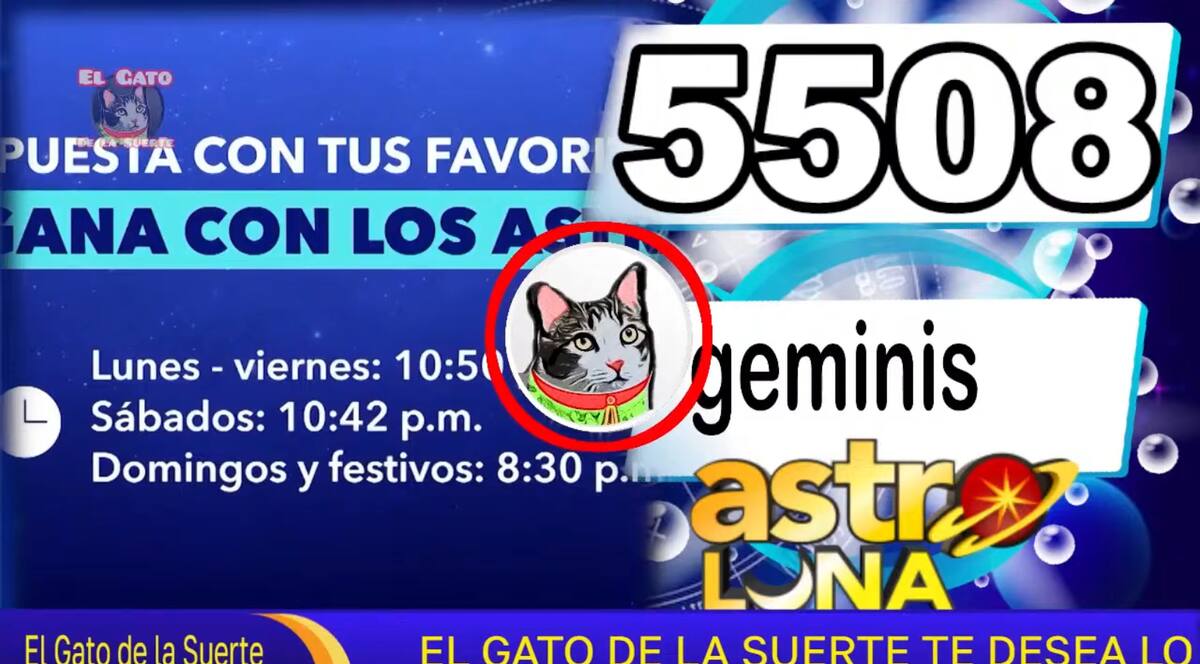 Resultado