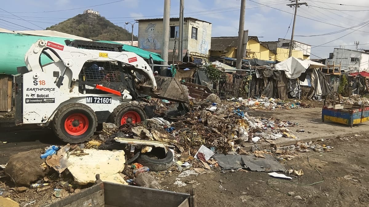 Jornadas de Veolia para la limpieza de la ciénaga de Las Quintas // Cortesía