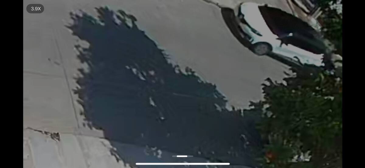 Robo en apartamento en Bocagrande.