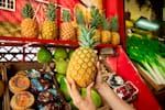 Las frutas del Caribe inspiran la edición de Sabor Barranquilla 2026