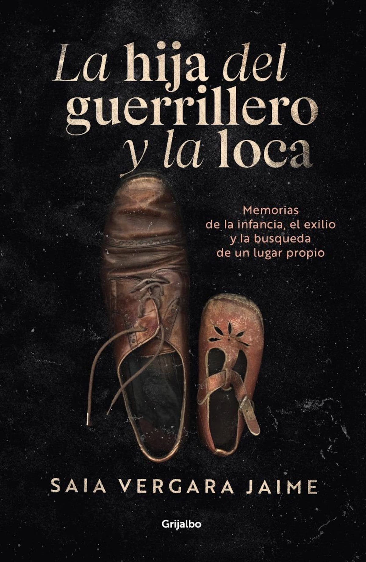 Portada del libro de Saia Vergara Jaime. //Foto: Cortesía.